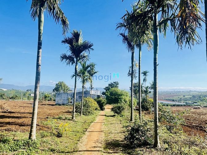Hình ảnh Đất view hồ Phúc Thọ diện tích 1100m2 thổ cư 100m2 sổ công chứng ngay