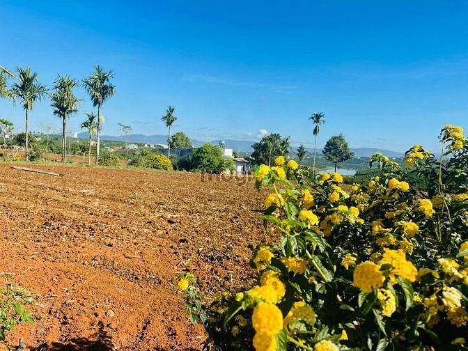 Hình ảnh Đất view hồ Phúc Thọ diện tích 1100m2 thổ cư 100m2 sổ công chứng ngay
