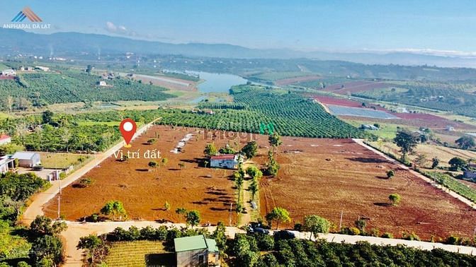 Hình ảnh Đất view hồ Phúc Thọ diện tích 1100m2 thổ cư 100m2 sổ công chứng ngay