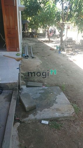 Hình ảnh Bán đất có nhà cam thành bắc cam Lâm