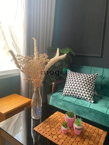 Hình ảnh CĂN HỘ FULL NT Q1_ BANCONG rộng rãi thoáng mát