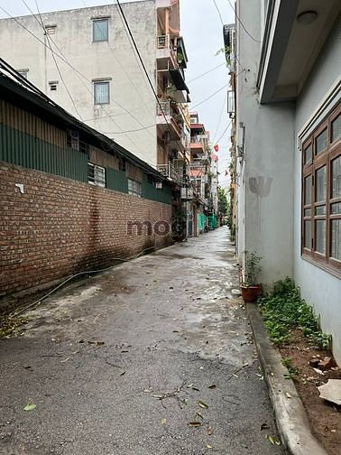 Hình ảnh Ngõ thông ô tô vào đất, lô góc 41m2 Lý Sơn siêu đẹp cần bán
