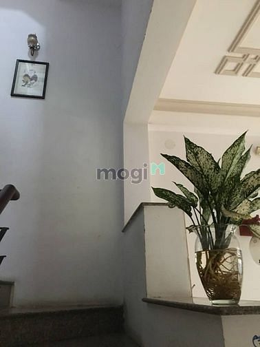 Hình ảnh 🌺 Xe Hơi đến nhà đường số quận 7