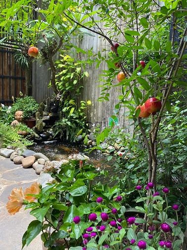 Hình ảnh Ngôi nhà hoa hồng, 100m2, 5m x 20m, Lê Văn Thịnh, TP. Thủ Đức