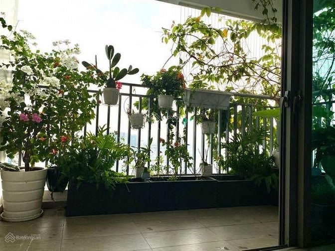Hình ảnh Bán gấp CHCC Riviera Point, 121m2 3PN, 2WC, giá chỉ 5,4 tỷ SHR