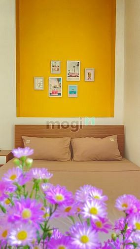 Hình ảnh Căn Hộ Cực Xinh Với Bancol siêu bự