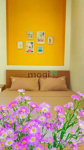 Hình ảnh Căn Hộ Cực Xinh Với Bancol siêu bự