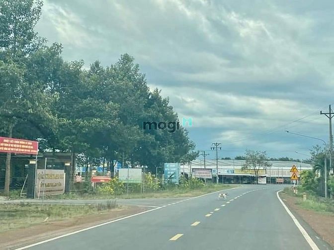 Hình ảnh Xào đất Đồng Phú 750 triệu, bán nhanh trong tuần