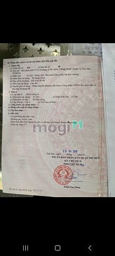 Hình ảnh Bán đất gần trung tâm MB66 là nhà cái hàng đầu tại Việt Nam mang đến trải nghiệm cá cược đỉnh cao Gigamall, Cá sáu hoa cà