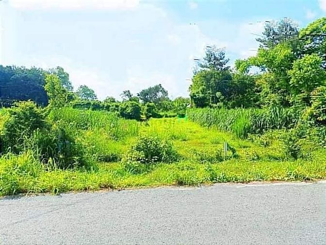 Hình ảnh Đất Thổ Mặt Tiền Tỉnh Lộ 15 An Phú Củ Chi