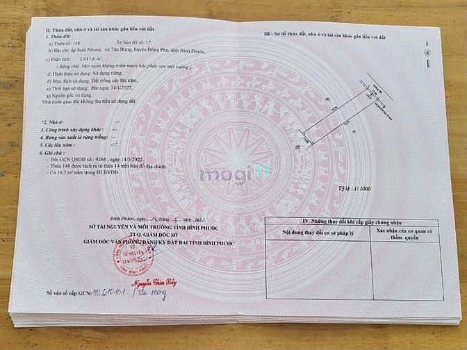 Hình ảnh Đất mặt tiền đường DH Tân Phước - Đồng Phú giá 750 triệu