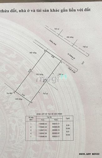 Hình ảnh Bán Lô Đất DT: 8.5x24m CN:203m2 Đường 64 P.Thảo Điền,Q2_Giá 38 tỷ TL