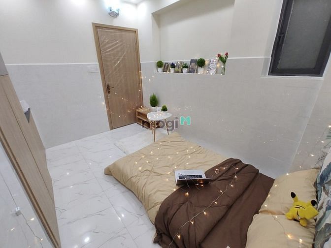 Hình ảnh CHDV Mini Siêu Xinh Thống Nhất Gò Vấp