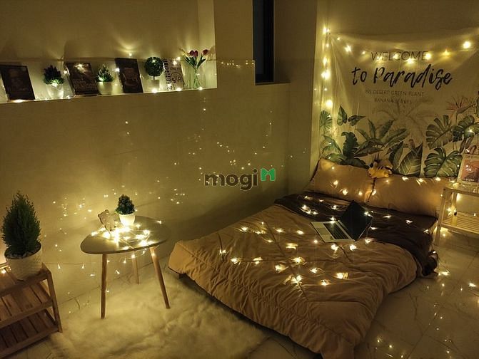 Hình ảnh CHDV Mini Siêu Xinh Thống Nhất Gò Vấp