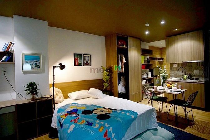Hình ảnh cho thuê studio ngay ngã tư bảy hiền theo phong cách Tây Âu