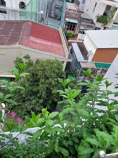 Hình ảnh Hiếm, Q1! Xe hơi vào nhà Huỳnh Mẫn Đạt Bình Thạnh 80m2, 5tầng 15,35 tỷ