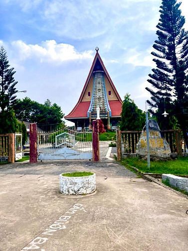 Hình ảnh Vườn dừa, xoài sát bên Thị trấn Định Quán - ĐN