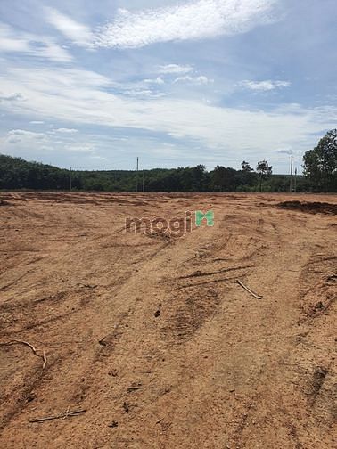 Hình ảnh Đất bán lộc ninh bình phước sát chợ giá dẻ cho anh chị ,mua ngay ạ