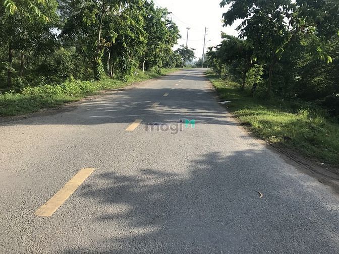 Hình ảnh Đất Đẹp Hai Mặt Tiền 1.000m2 Full Thổ Tân Hiệp Hóc Môn