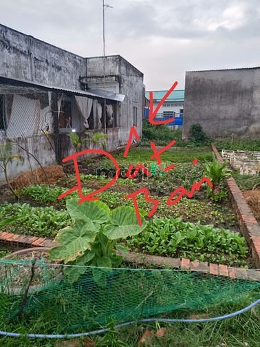 Hình ảnh Bán gấp miếng đất để chạy án cho con , bán gấp nên còn thương lượng