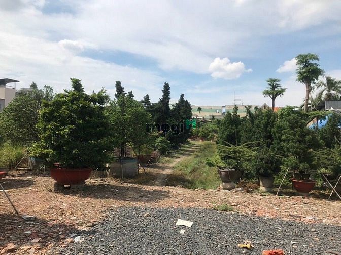 Hình ảnh Cho Thuê Lô Đất 9000m2 đường An Phú Đông 9, Quận 12