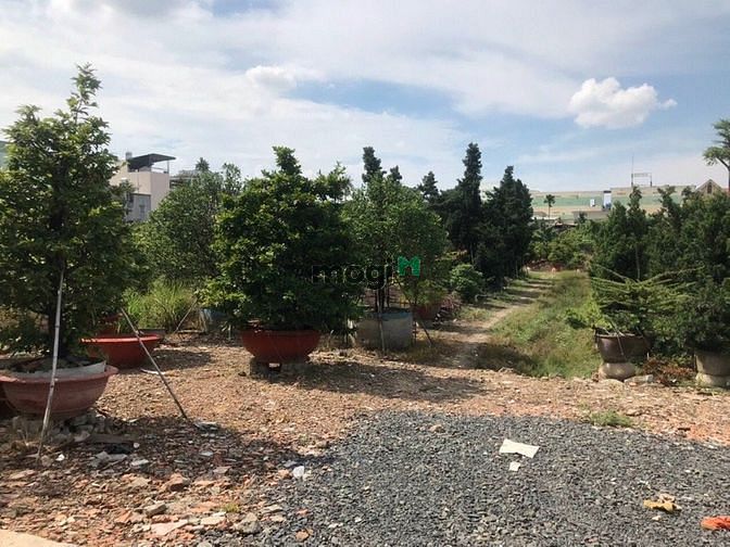Hình ảnh Cho Thuê Lô Đất 9000m2 đường An Phú Đông 9, Quận 12