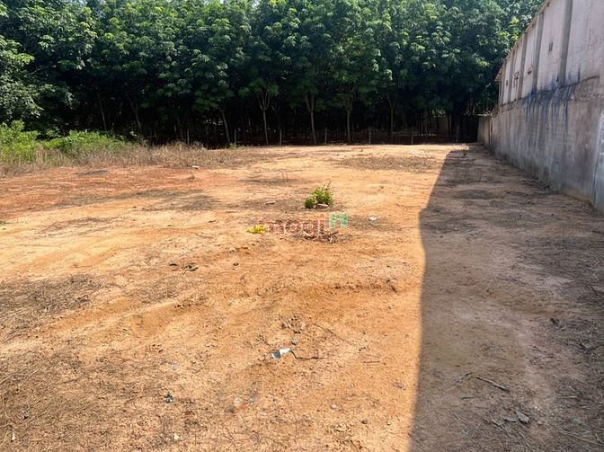 Hình ảnh Bán gấp 02 lô đất tại Bến Cát, Bình Dương giá Hợp lý