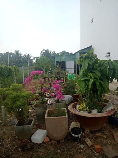 Hình ảnh Đất HXH - Ngang 5M - Long Phước - Quận 9 - 116m2- Giá 5 Tỷ 780TL