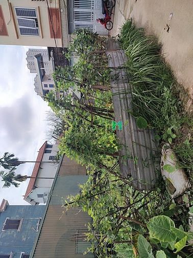 Hình ảnh Bán đất thổ cư tại Vân Canh, Hoài Đức 49m2, lô góc, dân trí cao, 2.9tỷ