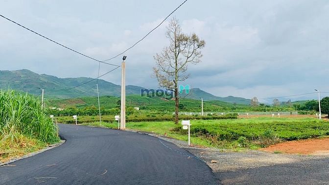 Hình ảnh Reverside hill Xã Lộc Châu, Bảo Lộc