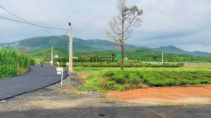 Hình ảnh Reverside hill Xã Lộc Châu, Bảo Lộc