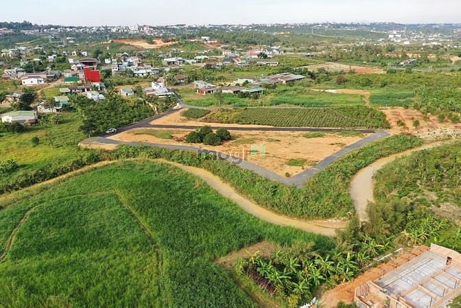 Hình ảnh Reverside hill Xã Lộc Châu, Bảo Lộc