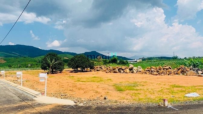 Hình ảnh Reverside hill Xã Lộc Châu, Bảo Lộc