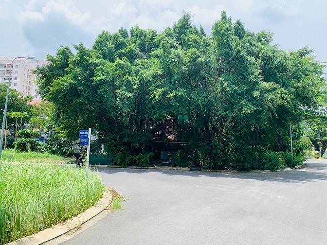 Hình ảnh Bán lô đất biệt thự 2 mặt tiền 280m2 thuộc khu dân cư Conic. SHR
