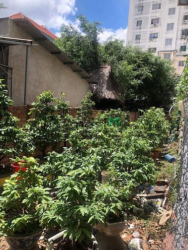 Hình ảnh Bán đất chính chủ Hiệp Bình Phước,Thủ Đức, 78m, Hẻm xe tải, chỉ 4,5 tỷ