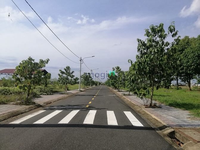 Hình ảnh Bán gấp lô đất full thổ mặt tiền Đồng Phú Bình Phước