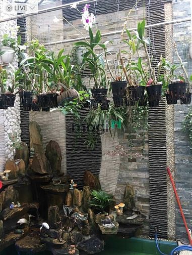 Hình ảnh 🌺 Bán mt khu dân cư Công Ích, Phú Mỹ, liền kề chung cư Bellez