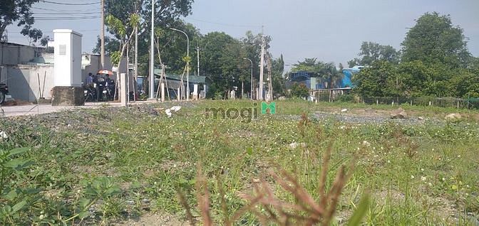 Hình ảnh Bán đất vườn đường 409 Phước Vĩnh An Củ Chi