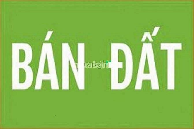 Hình ảnh Bán 120 m2 đất mặt phố Trần Thái Tông, Dịch Vọng, Cầu Giấy, MT 4,8m