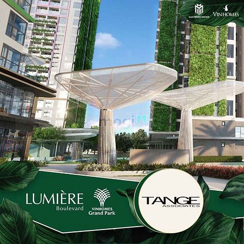 Hình ảnh 24 Căn Penthouse  Tại Dự Án LUMIÈRE BOULEVARD