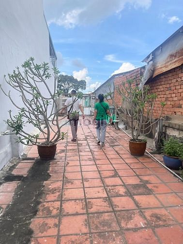 Hình ảnh CHDV MT Hùng Vương 4x28m_TR_L_3L_ST_20PN