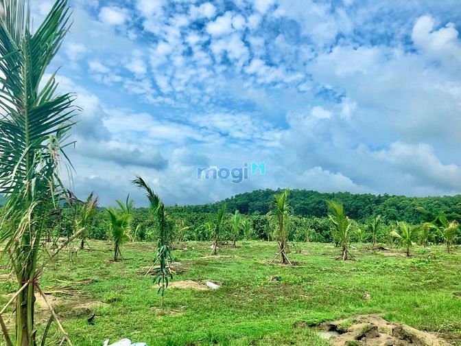 Hình ảnh Đất sào Gia Canh sát bên Thị trấn Định Quán