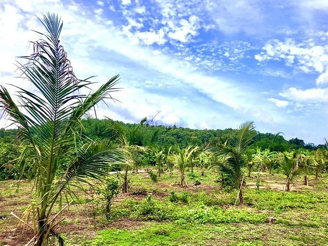 Hình ảnh Đất sào Gia Canh sát bên Thị trấn Định Quán