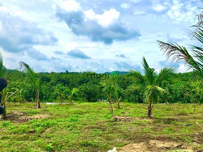 Hình ảnh Đất sào Gia Canh sát bên Thị trấn Định Quán