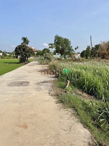 Hình ảnh Bán đất full thổ 173.7m², Xã Bình Mỹ, Huyện Củ Chi, giá 1.99 tỷ
