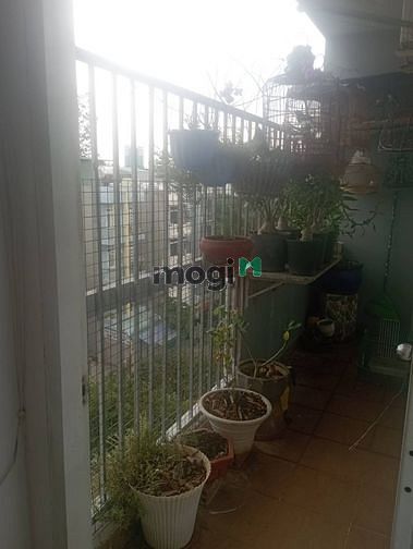 Hình ảnh Bán Trang Chủ MB66.COM / Đăng Ký Tặng 66K chung cư C1 - Man Thiện TP.Thủ Đức - 72m2 2Pn - Giá 1tỷ 750