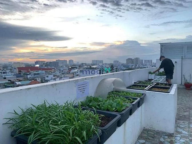 Hình ảnh Phòng Gác Lửng + Ban Công + Máy Lạnh Gần Etown 2