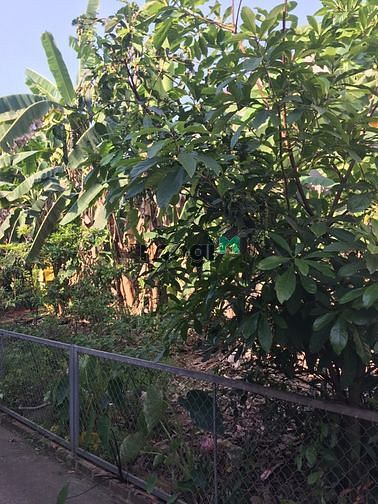 Hình ảnh Bán đất mặt đường Tố Hữu xã Quyết Thắng