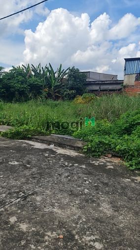 Hình ảnh Giá Mềm Đất 2600m2 thổ cư 100% , Trần Văn Giàu,Lê Mình Xuân Bình Chánh