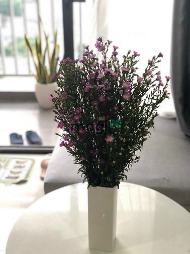 Hình ảnh Bán căn osimi 75m2 3pn giá tốt